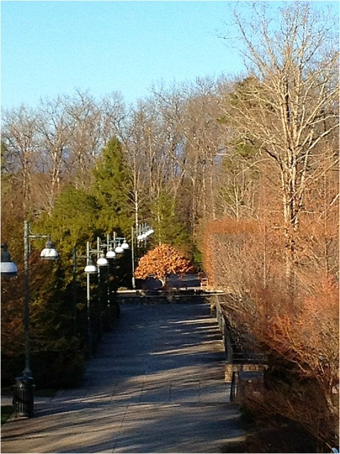 20120310-195811.jpg
