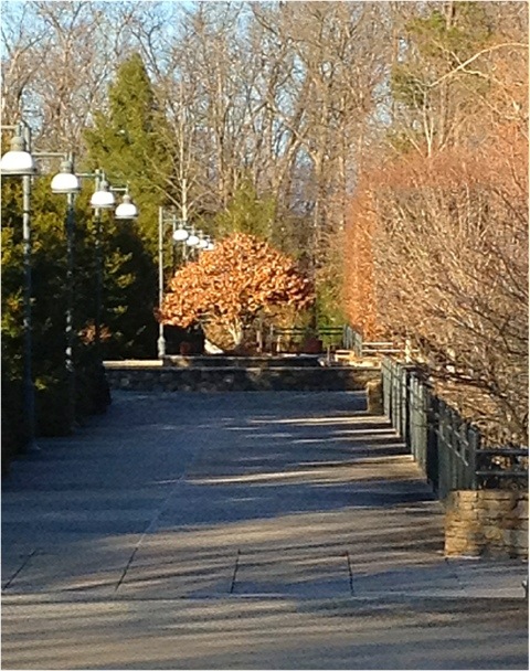20120310-195819.jpg