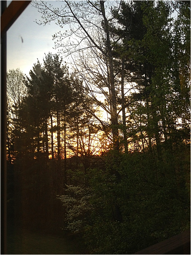 20120327-201531.jpg