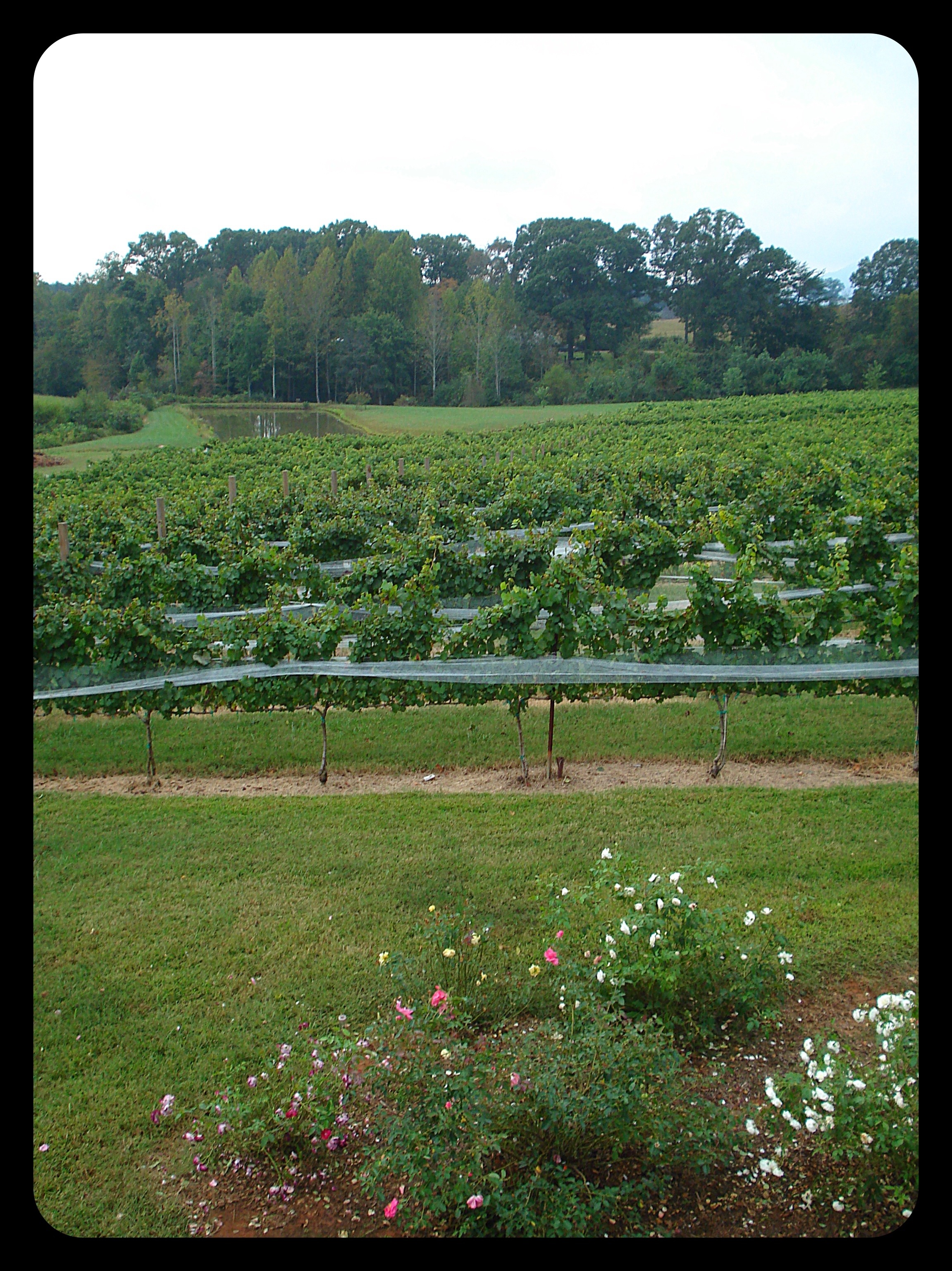 20121002-203525.jpg