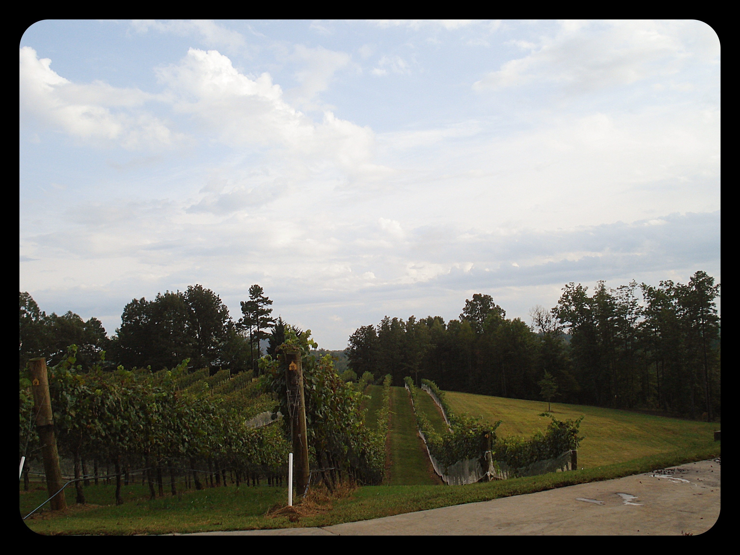 20121002-204102.jpg