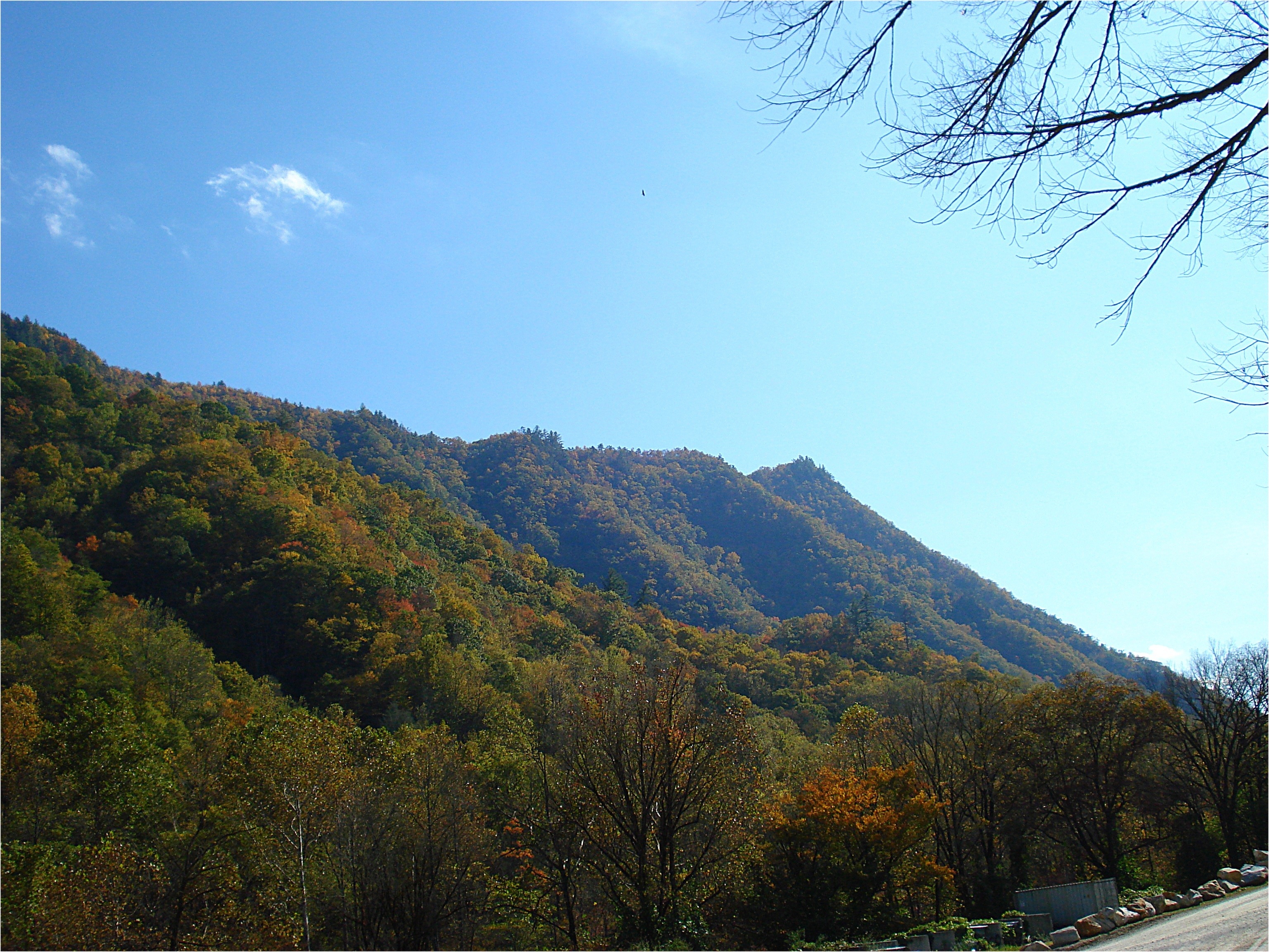 20121021-124657.jpg