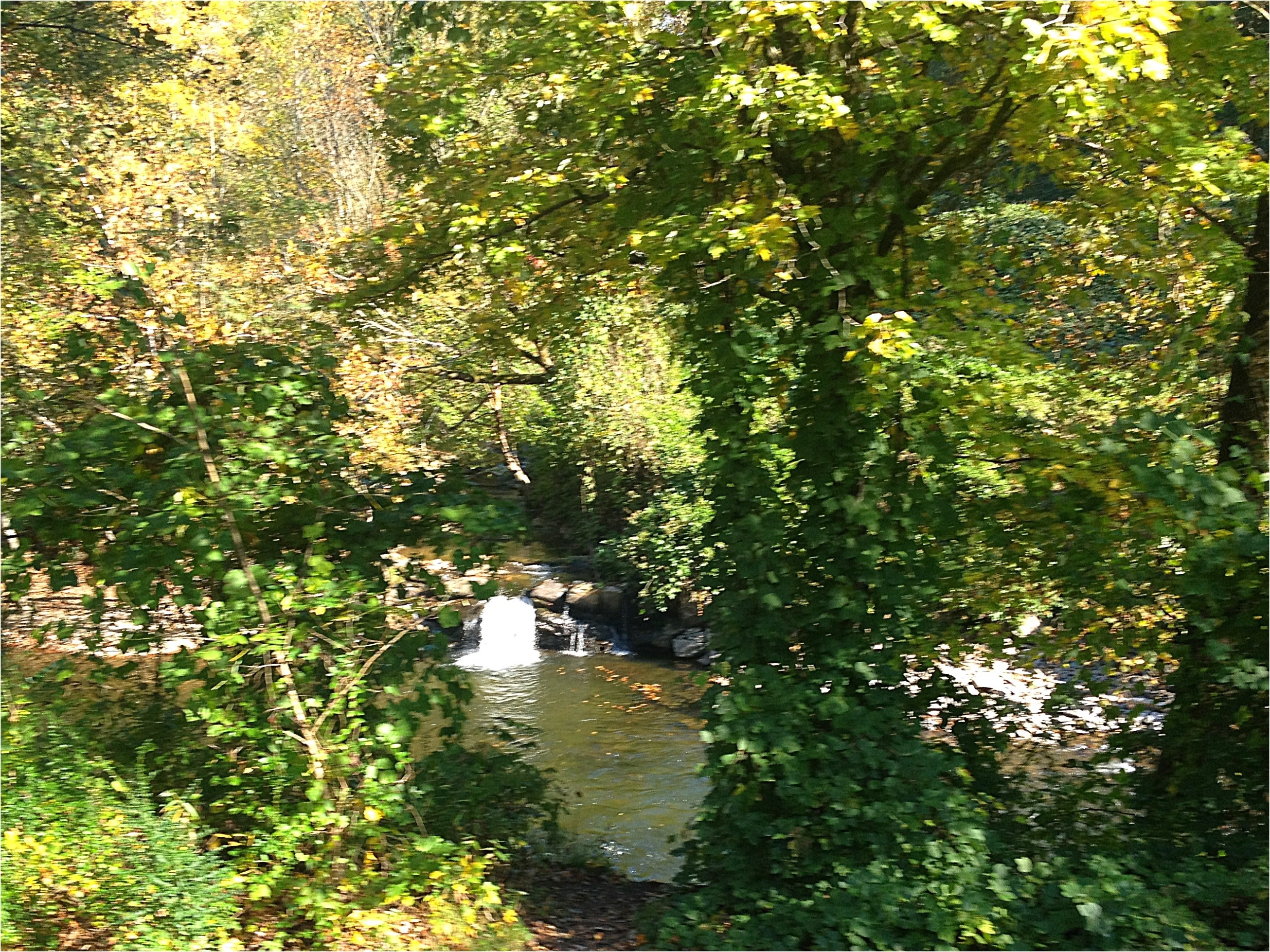 20121021-124824.jpg