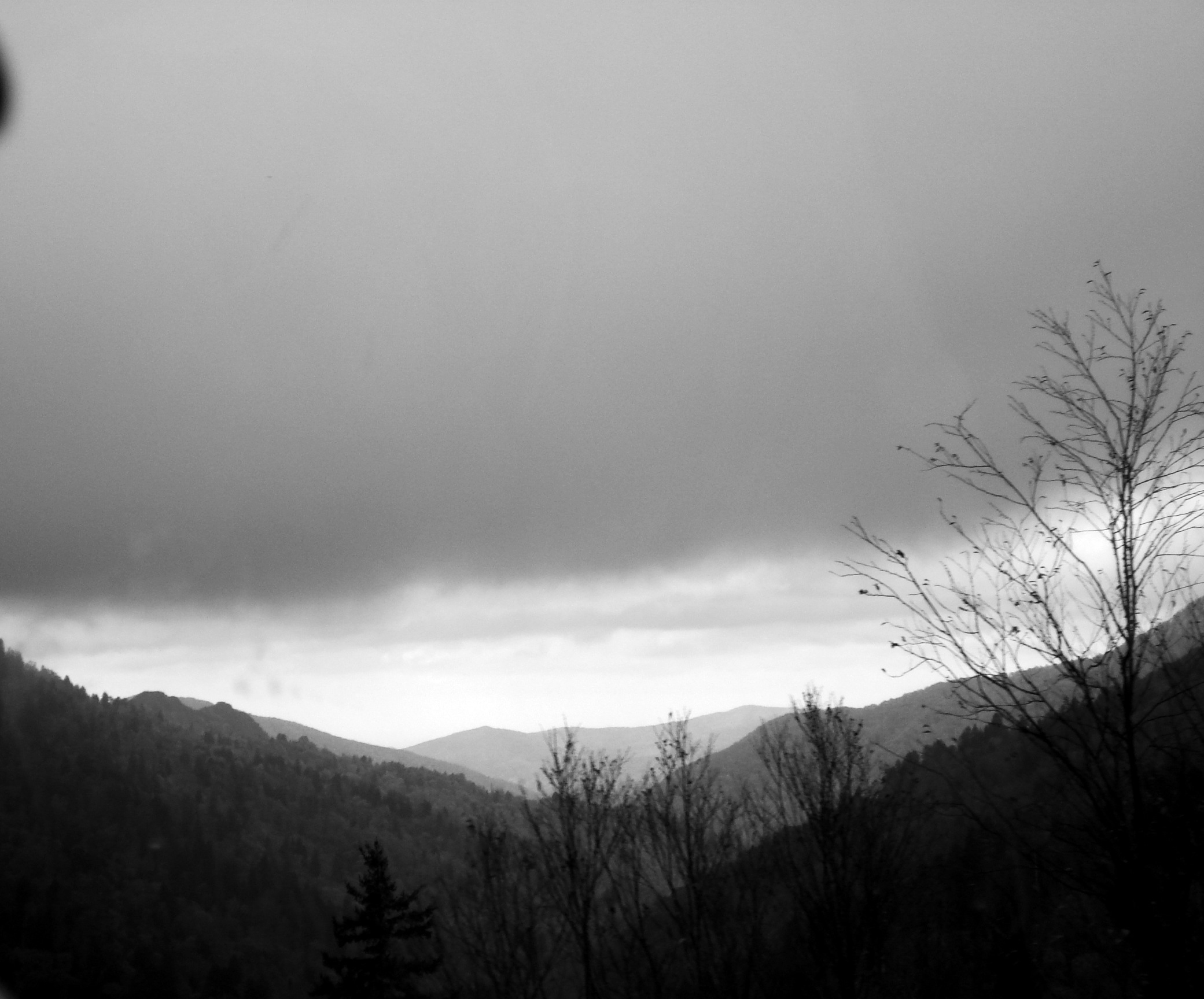 20121021-125239.jpg